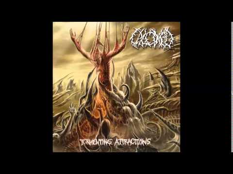 CALCINED - Yggr the Mountain