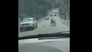Guy falling down street with shopping cart 🤣