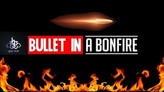 BULLET IN A BONFIRE