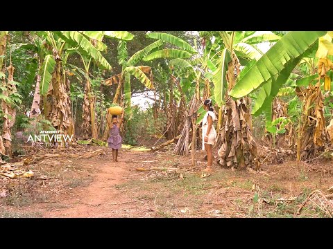 You Are Missing A Big Life Lesson If You Choose To Skip This Movie - African Movies