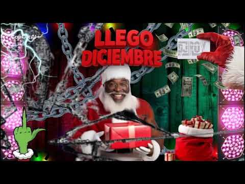 SANTAPERREO - DJ ROY MIX🎅🏾🎄