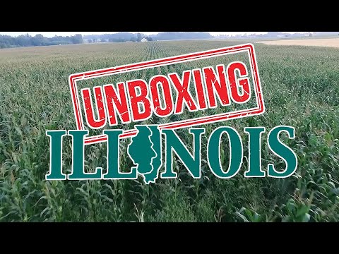 Unboxing Illinois: What It's Like Living In Illinois