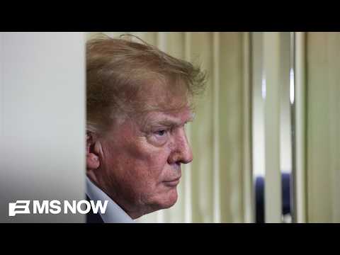 'DESPERATE' Trump loses Supreme Court mail voting ruling which may 'embolden' him, Judge Luttig says