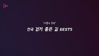 12월에 딱! 전국 걷기 좋은 길 BEST 5