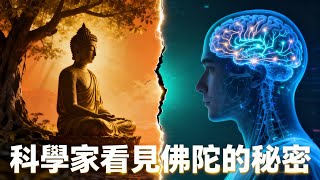 終結精神內耗：一個被腦科學證實，佛陀2500年前發現的「大腦靜音鍵」