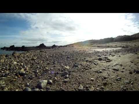A trail run along the Fife coastal path in the East Neuk