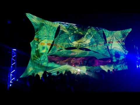 Space Tribe na Perfect Line - 5 anos