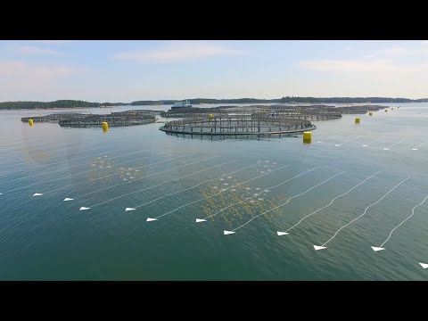 , title : 'The Future of Ocean Farming: Innovations in Aquaculture'