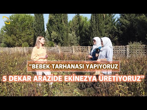 , title : 'Ekinezya Yetiştiren Kadın Üreticilerle Bir Aradayız! - Kırsalın Sultanları'
