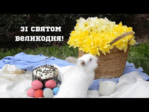 Зі святом Великодня! Як зібратися з рідними, коли вони далеко