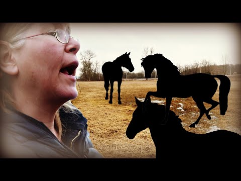 BRINGING OUR HORSES HOME Day 078 (03/17/20)