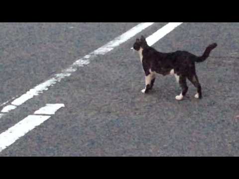 Marc Teicholz - Recuerdos de la Alhambra アルハンブラの思い出