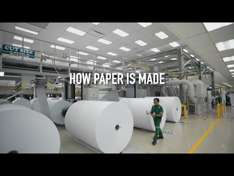 How Paper Is Made