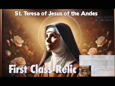 What Makes St. Teresa of Jesus of the Andes So Special?
