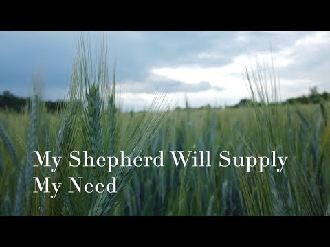 104 SDA Hymn - My Shepherd Will Supply My Need (Singing w/ Lyrics)