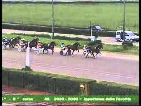 6° CORSA  del 16 MARZO 2015