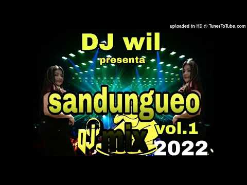 sandungueo mix dj wil
