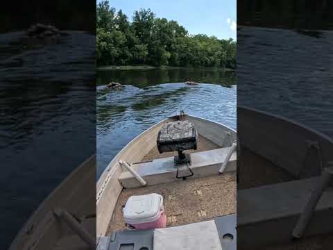 Old eel dam 14 ft V-bottom jet #fishing #jetboat #river