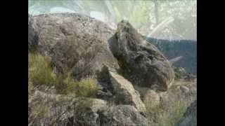 preview picture of video 'Sierra de Gata, Dinosaurio de Piedra.wmv'