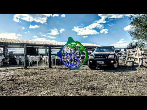 Wesley Safadão - DNA do Interior