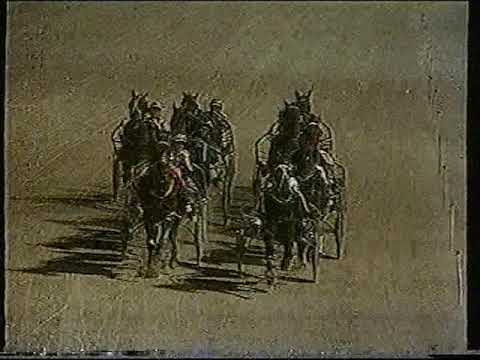 Courage Under Fire - 2001 South Australian Cup