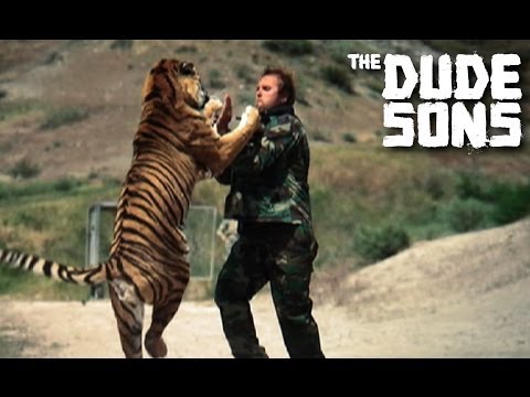 Man Vs. Tiger Boxing Match!