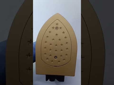 Silver Star Steam Iron