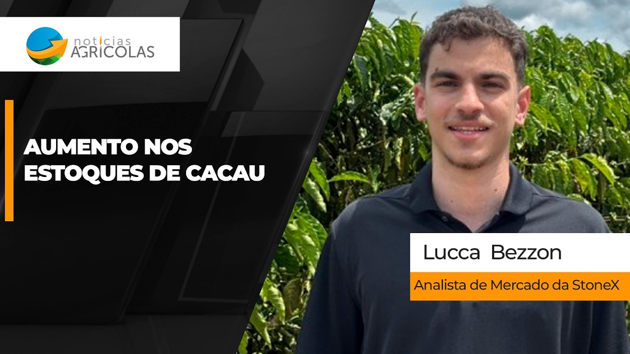 ICE anuncia estoques de 3,5 milhões de sacas de cacau em momento de demanda incerta e cotações caem