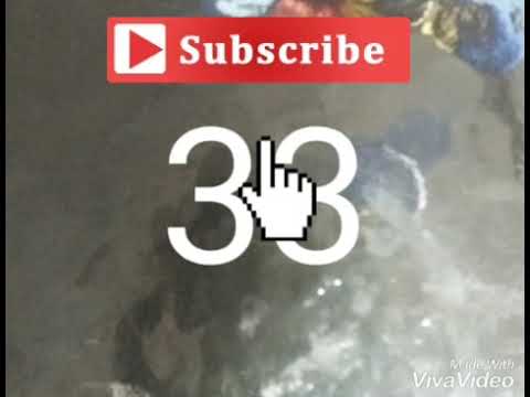 Numeros  fuerte para hoy 02/02/2021  Newyork Florida