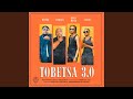 Myztro x Leehleza - Tobetsa 3.0 (Official Audio) feat. Shaunmusiq x Ftears