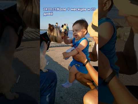 Коля-друг всех собак! 🐶🐾👶