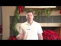 Matt Milana DDS Arcadia Dentistry