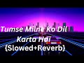 Tumse Milne Ko Dil Karta Hai{Slowed+Reverb}Phool Aur Kaanta   I  Kumar Sanu & Alka Yagnik  #lofi