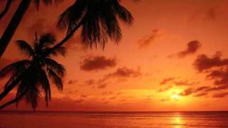 By Design - Diane Schurr & Josè Feliciano