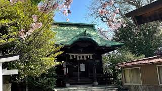 【下関市】貴布禰神社の桜
