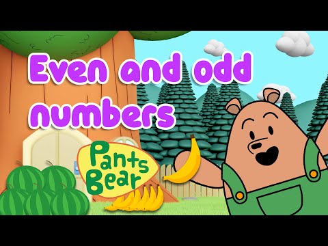 Even and Odd Numbers | Maths for kids | Educational Video #PantsBear