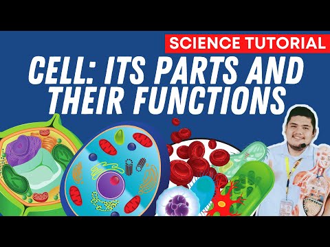 PARTS AND FUNCTIONS OF A CELL SCIENCE 7 QUARTER 2 MODULE 3