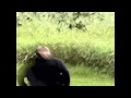 Spooky Black - Remember Me (Nyquill Bootleg ...