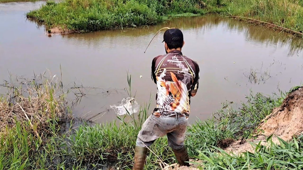 MANDI GUAÇU GIGANTE , TRAÍRA E LAMBARI , TODOS OS PEIXES DO RIO ESTAVA NESSA SAIDA DE ÁGUA/PESCARIA.