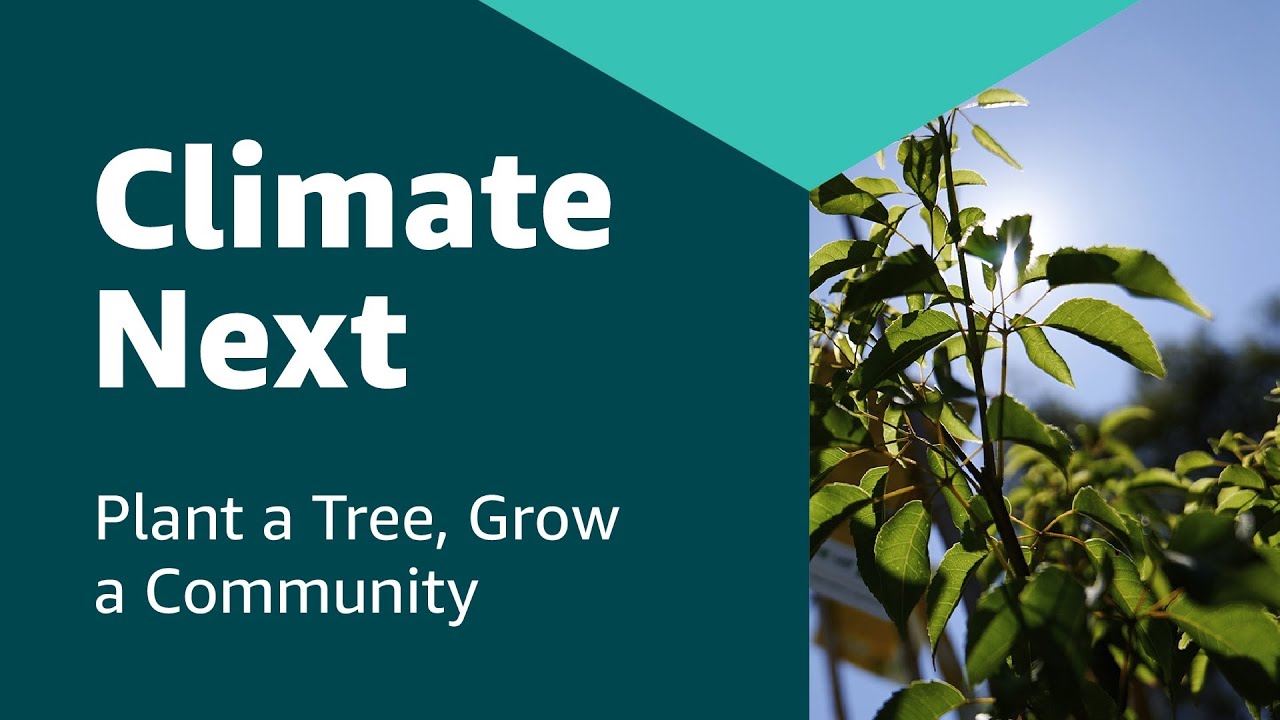 Missing alt text value