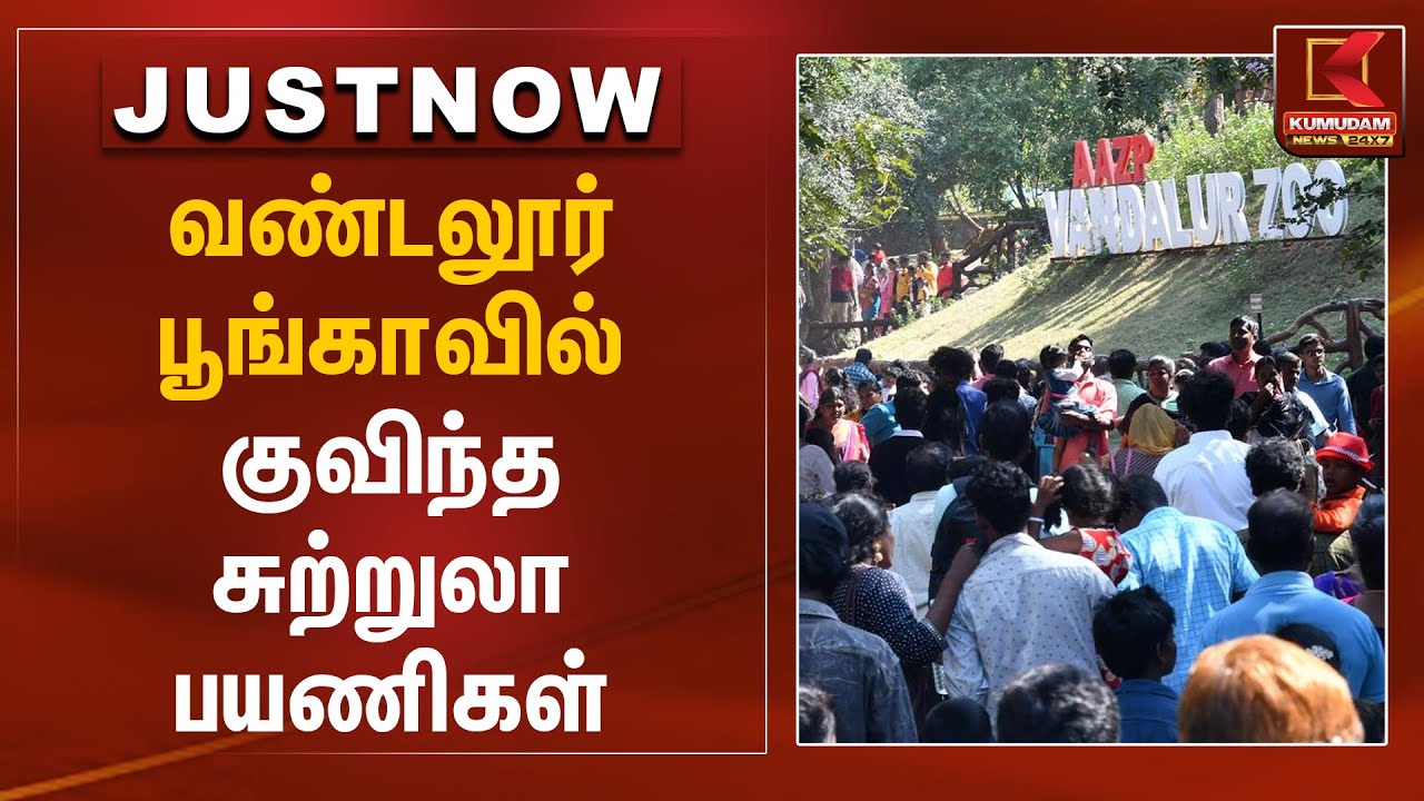 வண்டலூர் பூங்காவில் குவிந்த சுற்றுலா பயணிகள் | Vandalur Zoo | Kumudam News