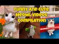 Funny And Cute Meowl Videos Compilation