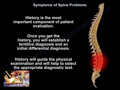 Symptoms Of Spine Problems 