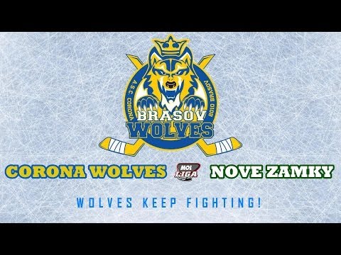Lupii continua lupta in Liga MOL! Corona Wolves infrunta Nove Zamky, la Brasov