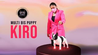 KIRO Multi Bis Puppy