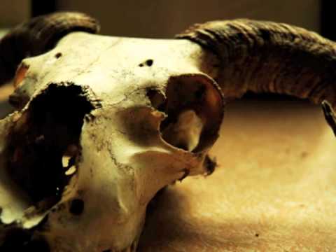 Lammfromm feat. Benaja, Benjou and Green G - Wod äne wotsch