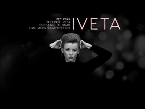 Iveta Bartošová | Pěší pták