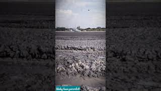 Download lagu #Story_wa - fenomena alam 🔥 mp3 Download lagu #Story_wa - fenomena alam 🔥 mp3