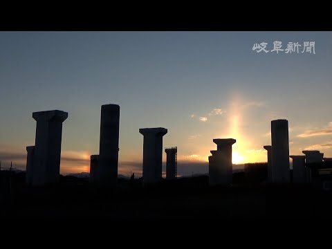 自然なプライバシー スクリーンを再現したい場合、死んだトゥジャを何で置き換えることができますか?あなたのための5つのオプション  庭園