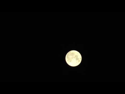 Dokumentur - MoonZoom